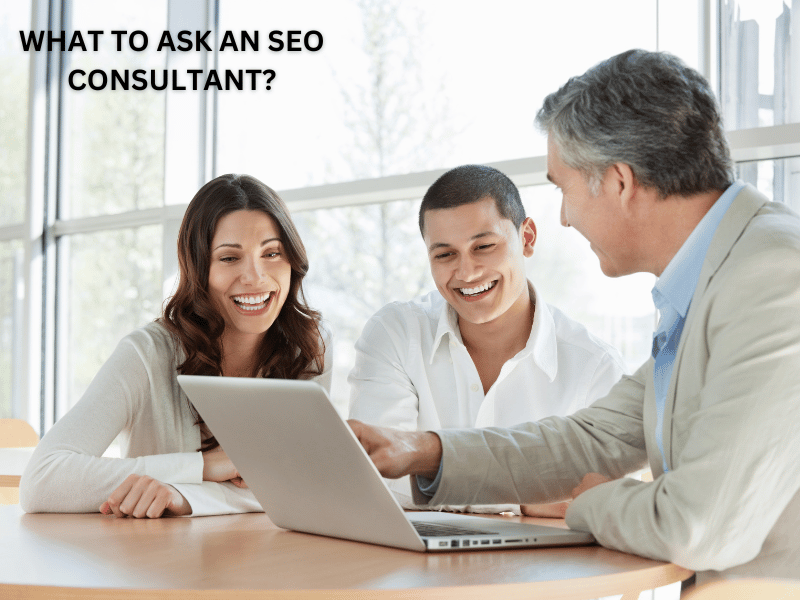 seo consultant what to ask